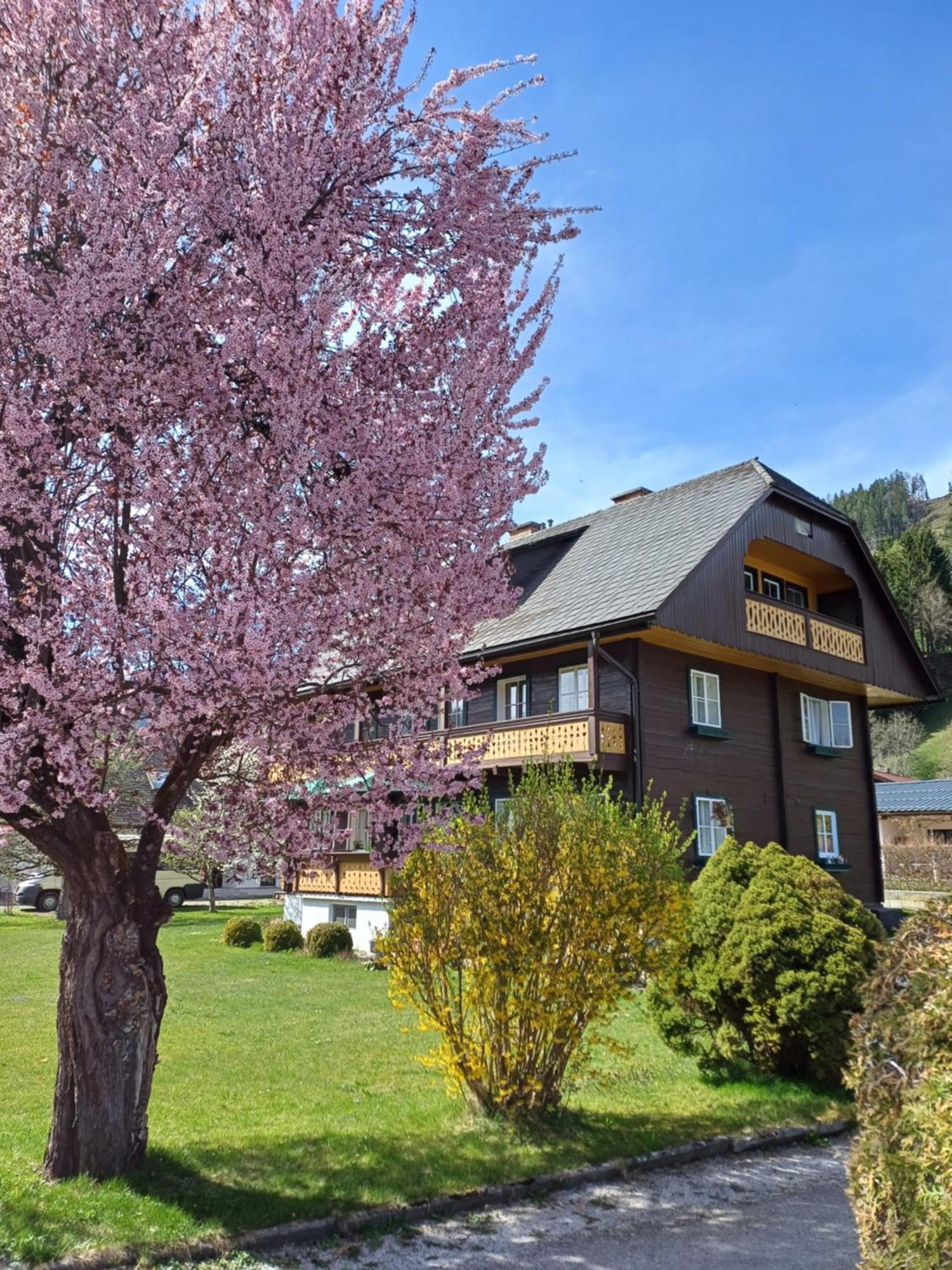 Appartement Steiner Шладминг Экстерьер фото